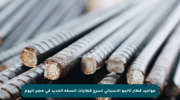 مواعيد قطار تالجو الإسباني أسرع قطارات السكة الحديد في مصر اليوم